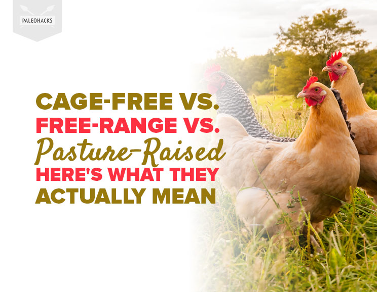 When you buy eggs and meat, you probably look for terms like cage-free, free-range, or pasture-raised. Here are the critical differences between these terms.