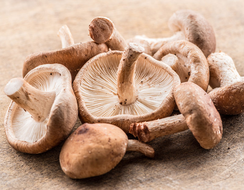 Did you know that you probably already have a few powerful antiviral foods in your kitchen? Find out more about the top foods to help you fight off viral infections all year round.